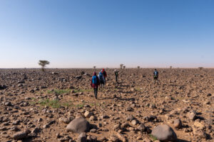 Trekking durch die Sahara Marokkos