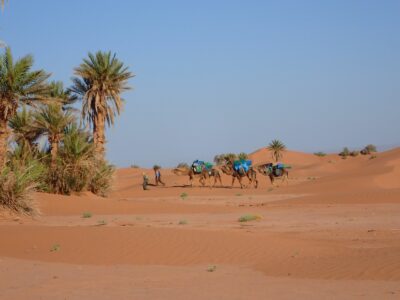 Kamel-Trekking in Marokko Rass nkhel