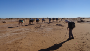Caravane Wüstenwanderung in Marokko erg Smer cover