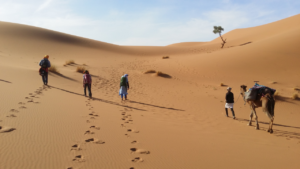 Erg ChegagaWüstenwanderung in Marokko erg Smer cover