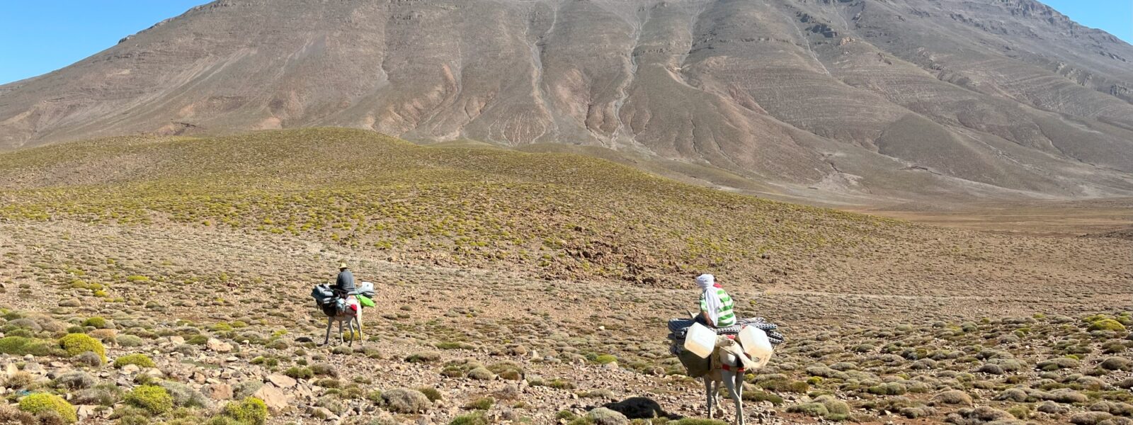 Maultier Trekking Marokko