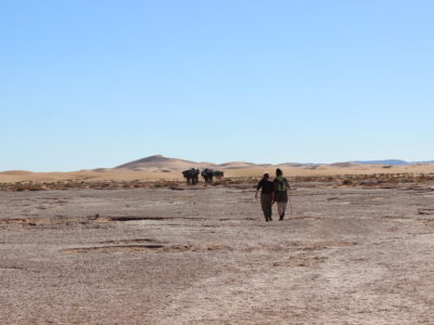 Sahara Challenge Trekking Dyabi Sahara Trek Wüstentrekking in Marokko Ebenne des Smer