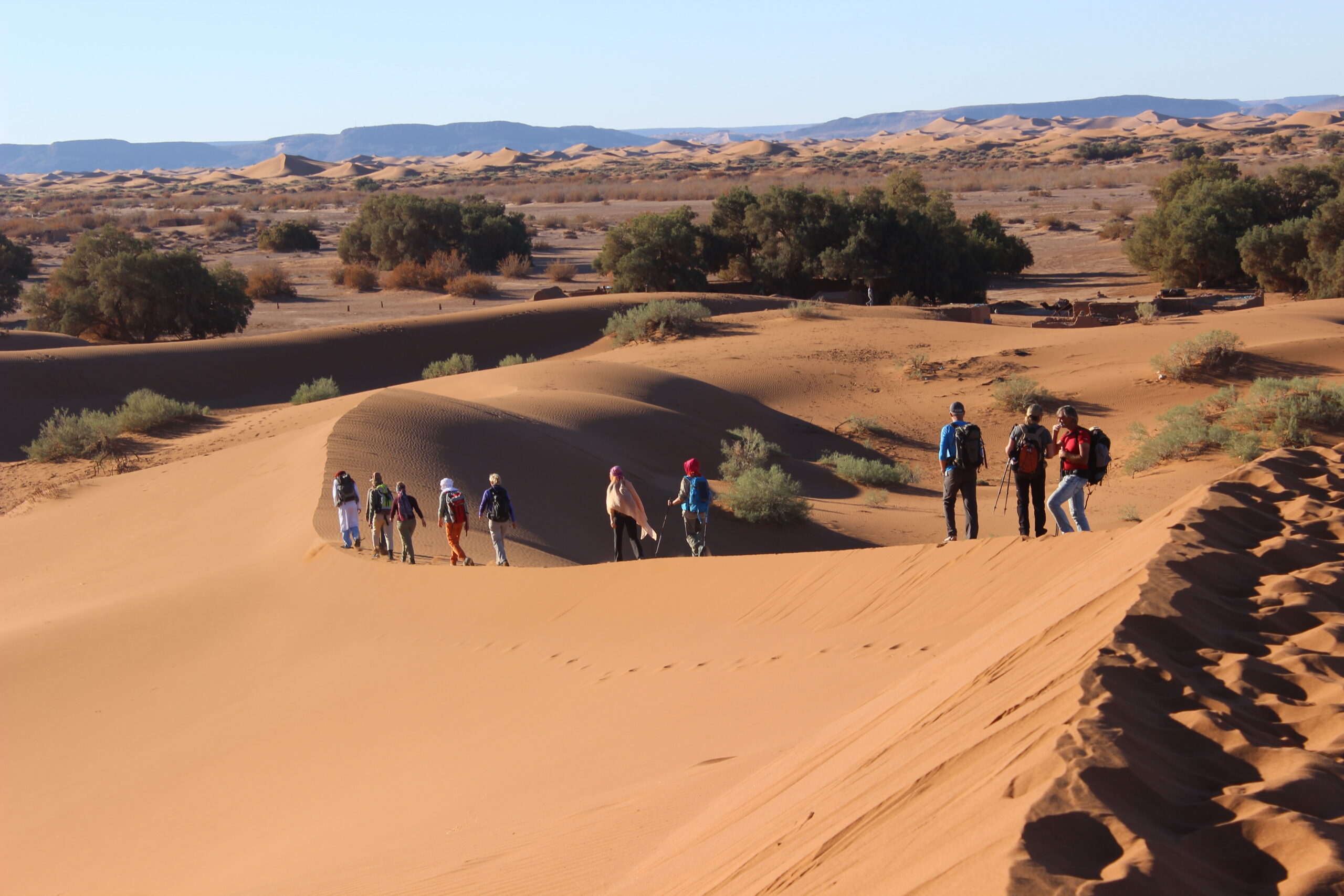 Sahara Challenge Trekking